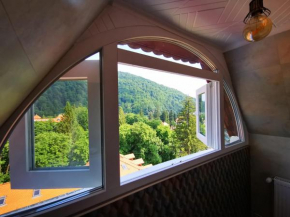 Cazare Parc Ultracentral Sinaia
